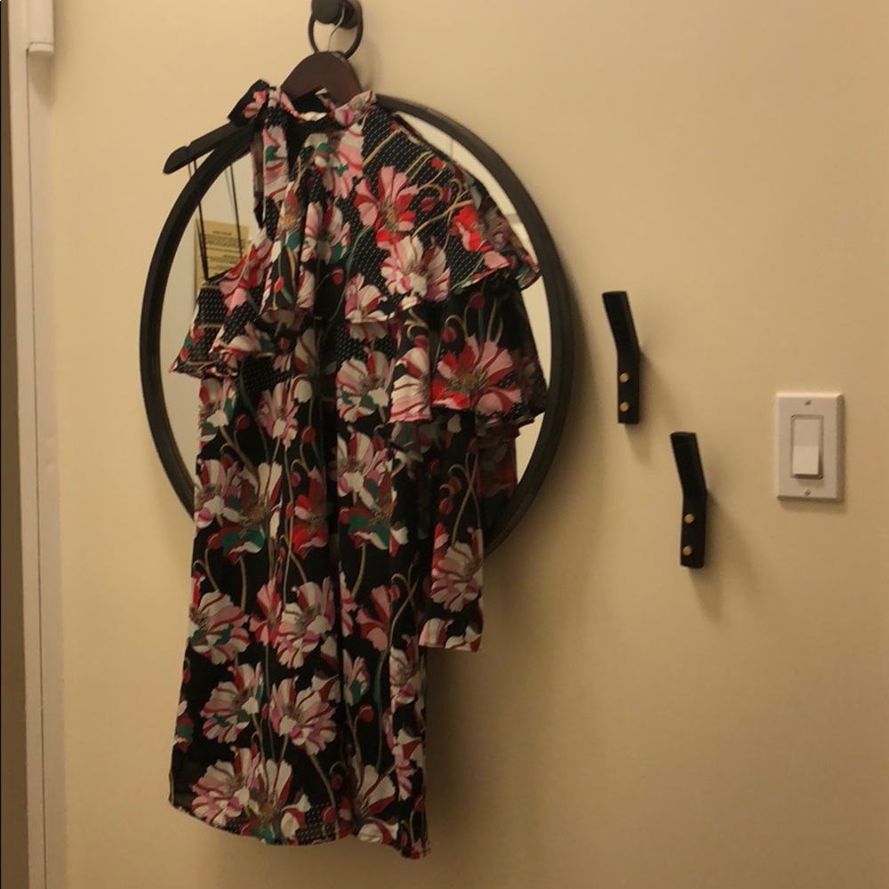 Ella Moon dress (shopbop)